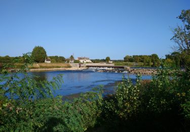 Excursión Senderismo Montlouis-sur-Loire - Montlouis-sur-Loire - gare GR41 Veretz Azay-sur-Cher - 13km 85m 2h45 - 2023 10 07 - Photo