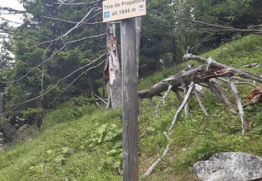 Tour Wandern Chamonix-Mont-Blanc - le chapeau par les gorges de l'arveyronet Prapator - Photo