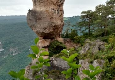 Trail Walking Le Rozier - Sentier des Corniches de Mejean - Photo