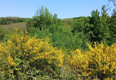 Trail Walking Marennes - 69-MARENNES 2_10km216m - Photo