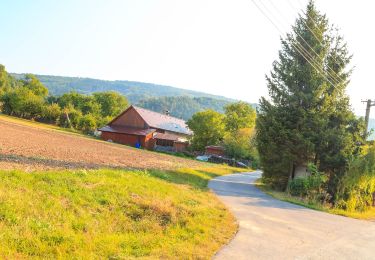 Tocht Te voet Kněžnice - [M] Cidlina - Tábor - Photo