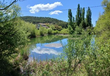 Trail Walking Bargème - Bargème  - Photo