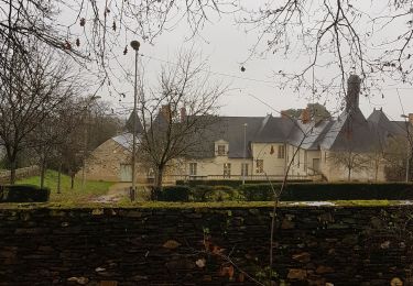 Randonnée A pied Montreuil-Juigné - Montreuil-Juigné  - Photo