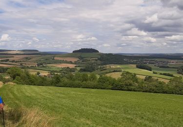 Tour Nordic Walking Favières - Favieres  - Photo