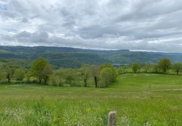 Randonnée Marche Trélans - Étape 4 Saint Gilhem  - Photo