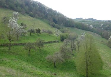 Tocht Te voet Olne - La Saute au départ du Hall Omnisports d'Olne - Photo