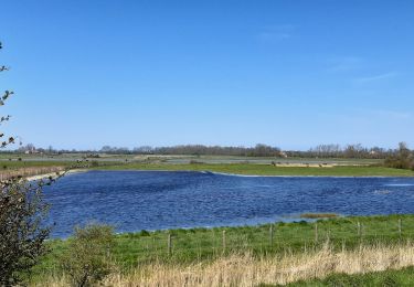 Tocht Stappen Veere - Zeeland - Aloha beach - Photo