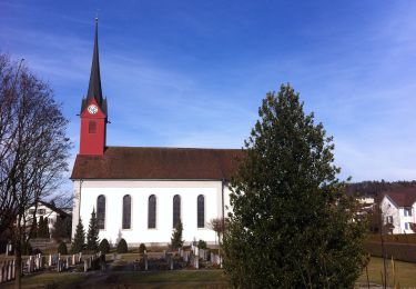 Tocht Te voet Boswil - Waltenschwil - Bünzen - Boswil - Photo