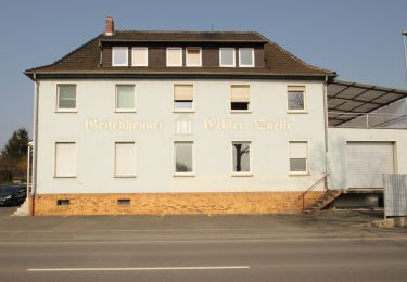 Randonnée A pied Geisenheim - Geisenheimer Rundweg M - Photo