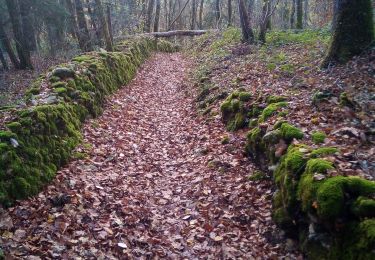 Excursión Senderismo Braillans - Braillans Thise - Photo