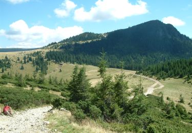 Percorso A piedi  - Ferice-Peștera Ferice-Traseul BR - Photo