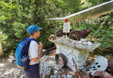 Excursión Senderismo Autrans-Méaudre en Vercors - RA Vercors Bec Orient - Photo