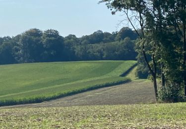 Trail Walking Gerpinnes - A l’approche de l’automne  - Photo