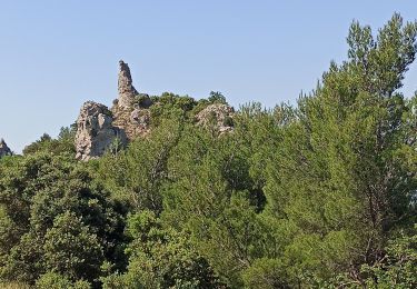 Randonnée V.T.T. Vaison-la-Romaine - Tour des Dentelles - Photo