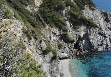 Percorso Marcia Six-Fours-les-Plages - Les falaises du mont Salva - Photo