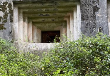 Tour Wandern Bassenge - La montagne Saint-Pierre d’Eben - Photo