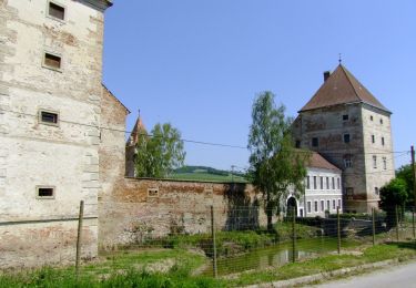 Excursión A pie Gemeinde Großmugl - Füllersdorfer Waldweg - Photo