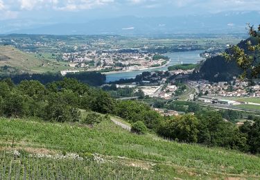 Tour Wandern Saint-Jean-de-Muzols - 1. Tournon . Etables - Photo