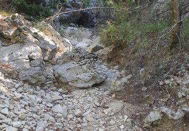 Tour Wandern Moustiers-Sainte-Marie - 2023-10-13 l'Ourbe - Photo