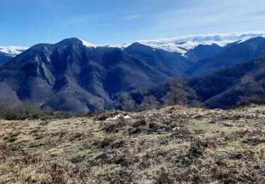 Tour Wandern Sacoué - marrouye depuis le pied du Touroc  - Photo