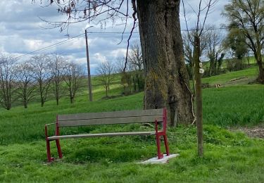 Randonnée Marche Gerpinnes - Lundi de Pâques et cassage du verre  - Photo