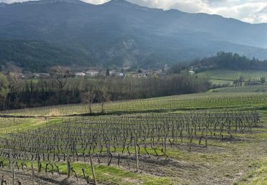 Trail sport Barnave - Barnave Col de Louis azur 2025 - Photo