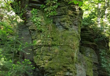 Randonnée Marche  - Château Hohenbaden - site escalade Battert - Merkur (Rother n°42) - Photo