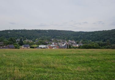 Trail Walking Montigny-le-Tilleul - Balade de Landelies à l'abbaye d'Aulne - Photo