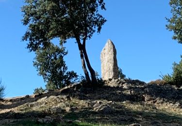 Trail Walking Saint-Martial - Le col de la Tribale Le col de Bez Saint Martial  - Photo