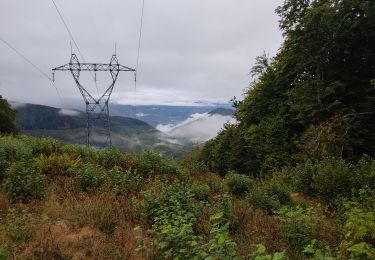 Percorso Marcia Caussou - le col des canons - Photo