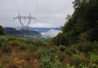 Tocht Stappen Caussou - le col des canons - Photo