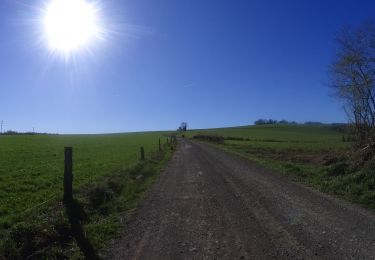 Tocht Mountainbike La Roche-en-Ardenne - activity_8670328691 - Photo