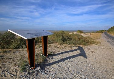 Tocht Stappen Cayeux-sur-Mer - Route Blanche_Maison del'Oiseaux - Photo