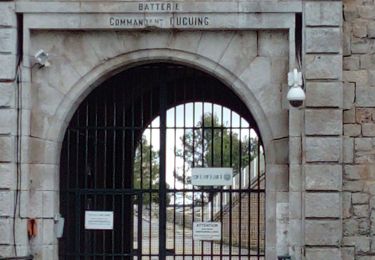 Trail Walking Toulon - Boucle des deux forts du Faron - Photo