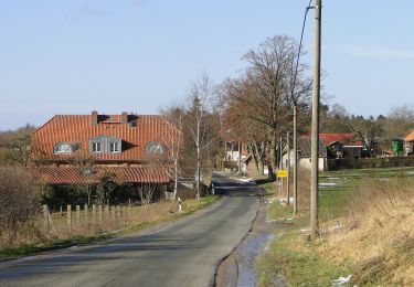 Percorso A piedi Dümmer - Dümmerstück Hof - Walsmühlen - Photo