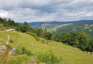 Percorso Bicicletta elettrica La Bresse - la bresse - piquante pierre - col de la burotte - Photo