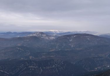 Percorso Racchette da neve Beaumont-du-Ventoux - raquettes Mont Serein - Photo