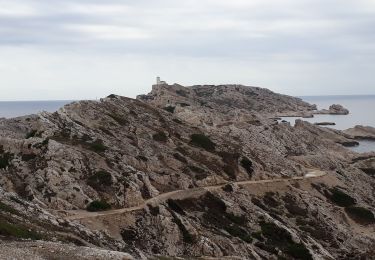 Randonnée Marche  - iles du Frioul - Photo