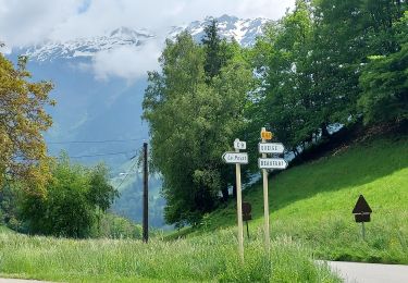 Trail Road bike Saint-Jorioz - REALISE P116 Ugines + Col de la Forclaz - Photo