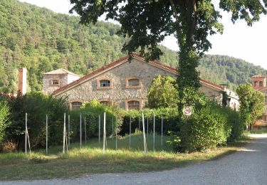 Trail On foot Ripoll - SL-C 13 Ripoll-Sant Antoni - Photo