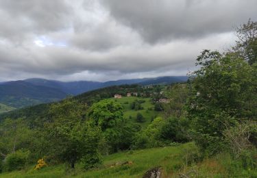Trail Walking Hohrod - Hohrodberg Munster  - Photo