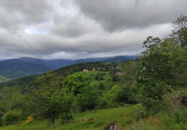 Tocht Stappen Hohrod - Hohrodberg Munster  - Photo