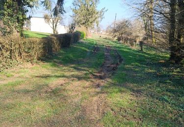 Randonnée Marche Momignies - Seloignes 2022 10 km - Photo