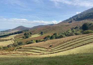 Randonnée Marche Macaye - Mont Baigura  - Photo