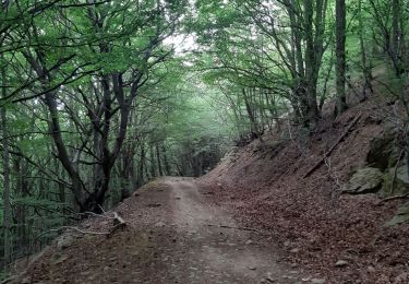 Tocht Stappen L'Albère - col de l ullat . puig d orella . puîg sant cristau . col de l ullat - Photo
