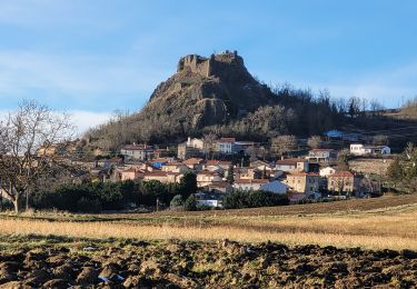 Randonnée Marche Parent - Parent Buron Puy du Rousset - Photo