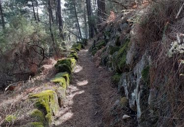 Trail Walking Vernon - Tétines et cascade de Baumicou - Photo