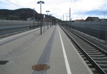 Tocht Te voet Lebring-Sankt Margarethen - Rundwanderweg Lebring - Photo