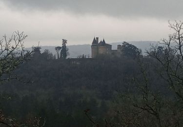 Excursión Senderismo Mercuès - Mercués les Grands Camps_autour du château 6,4 - Photo