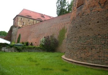 Tour Zu Fuß Bad Belzig - Naturparkrundwanderweg 11 - Photo